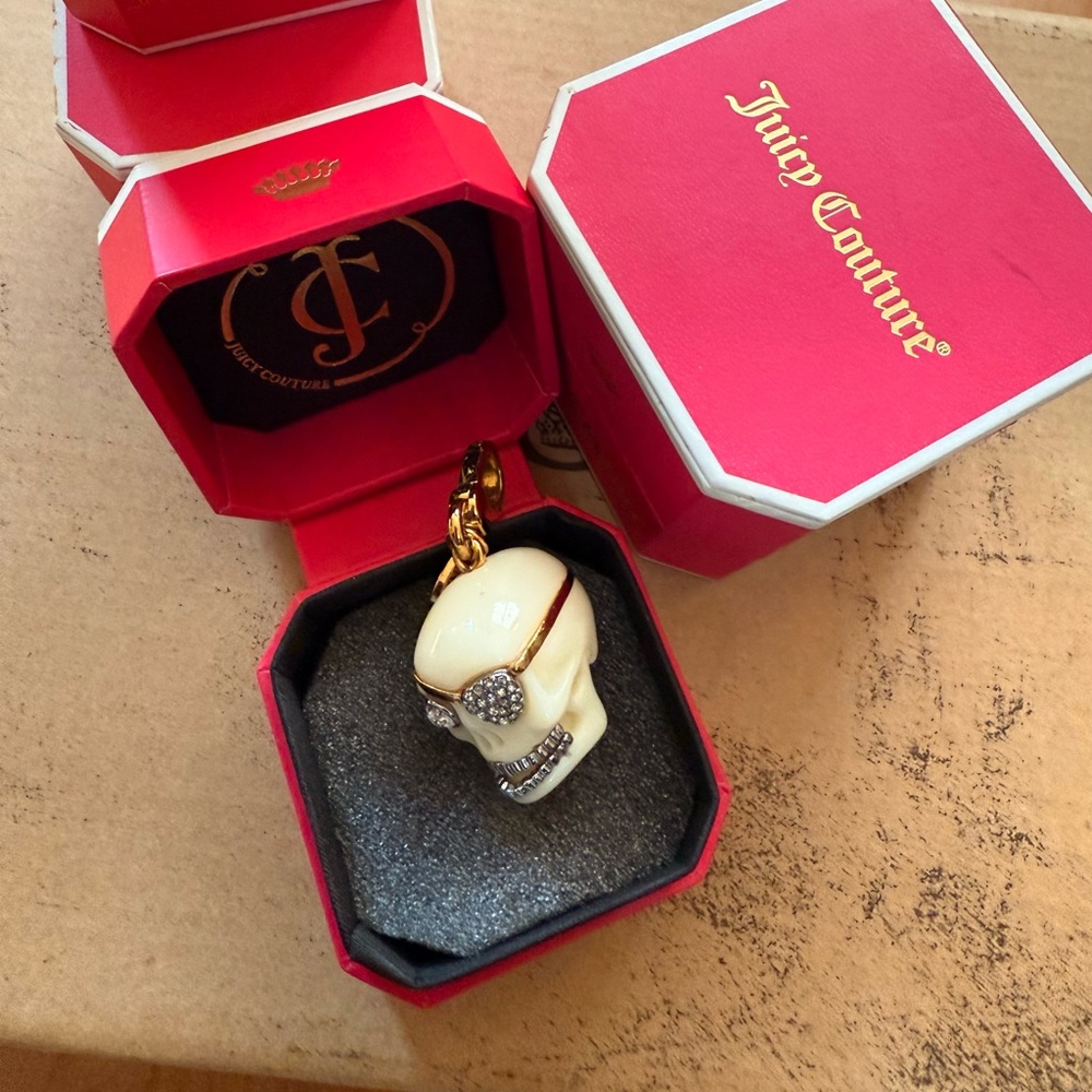 Juicy Couture skull with pave eyepatch 2010  & silver grill